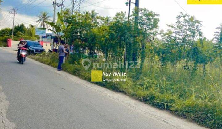 Tanah kosong di Negeri sakti Gedong Tataan Pesawaran Lampung 2