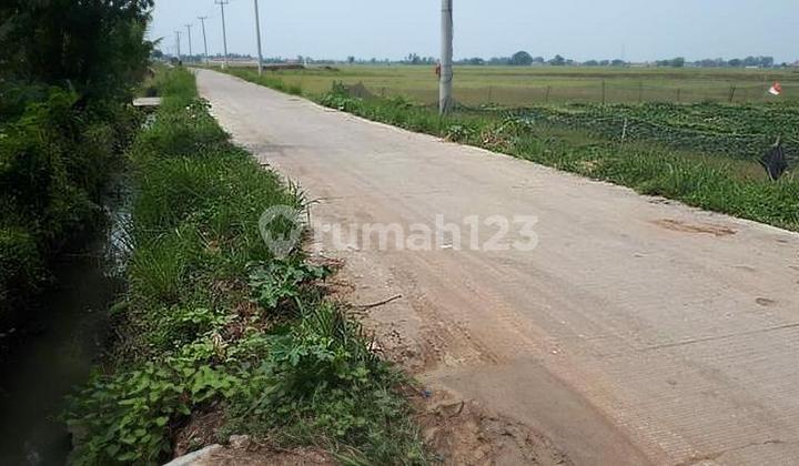 Kavling Luas Di Kronjo Balaraja Tangerang Kavling Luas Di Kronjo Balaraja Tangerang