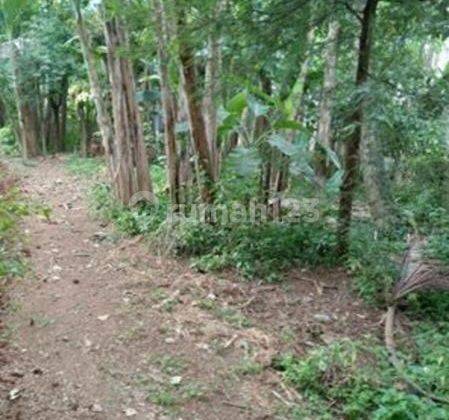 Tanah Kebun Cocok Untuk Gudang Atau Sekolah Di Babat Legok 2