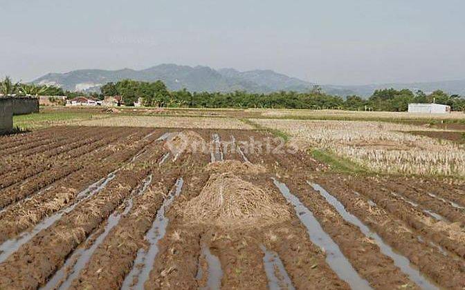 Tanah Luas di Katapang Andir Bandung 2