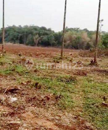 Dijual tanah di Kampung Dangdang di kawasan Cisauk 2