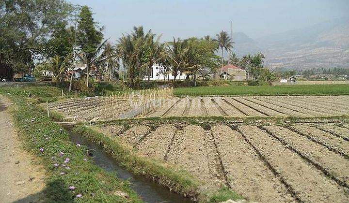 Tanah 10 Hektar Di Cipanas Garut , Daerah Wisata.  1