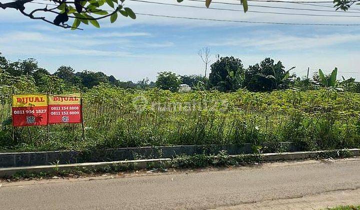 Tanah kavling Di cocok buat cluster di jalan utama guru muchtar 1