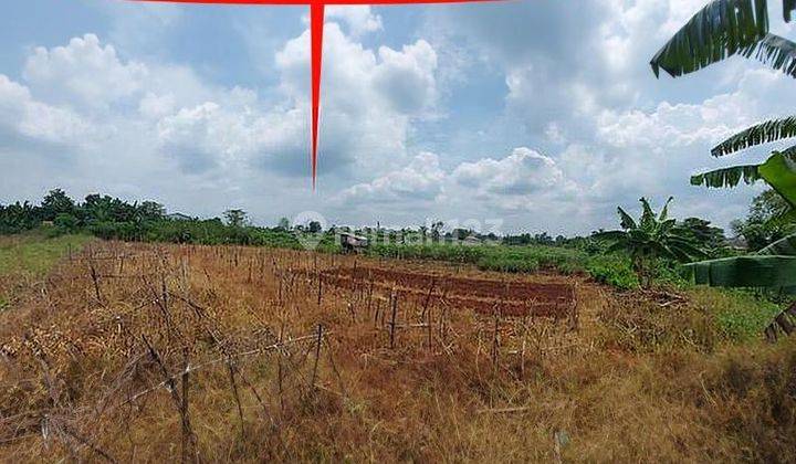 Tanah Di Di Telajung Udik Gunung Putri tepatnya di Telajung Udik 1