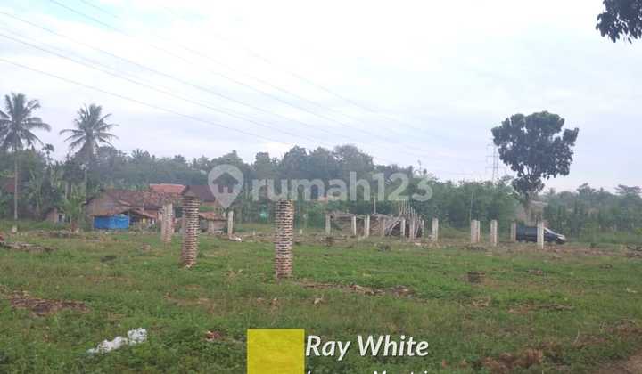 Tanah Perkebunan Tanah Perkebunan