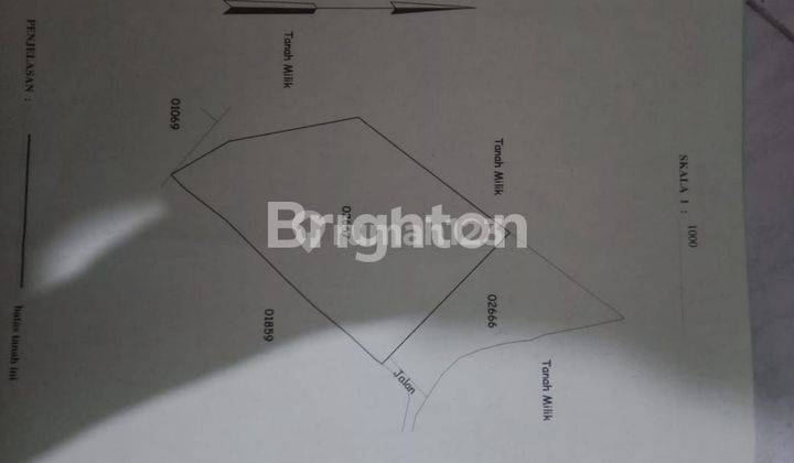TANAH 1 HEKTAR DI TEGALLALANG 1