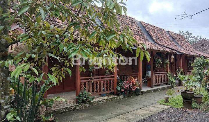 Tanah + Homestay Di Patuk Gunung Kidul 1