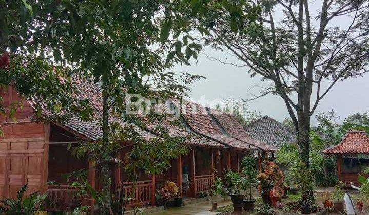 Tanah + Homestay Di Patuk Gunung Kidul 2