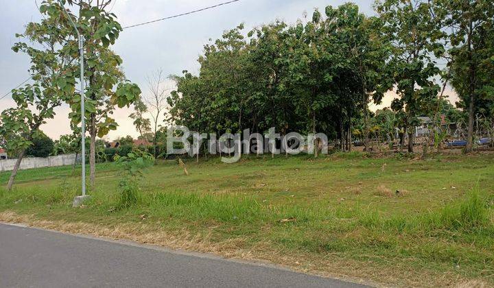 TANAH LUAS PINGGIR JALAN SIAP BANGUN DI PERAK JOMBANG 1