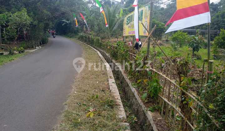 Kavling Murah Di Agrowisata Gandamanis, Desa Bangkonal Pandegelang Banten 1