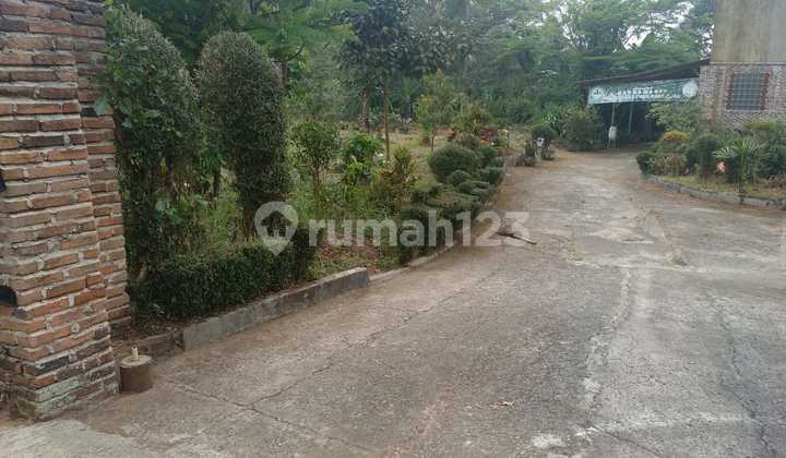 Kavling Murah Di Agrowisata Gandamanis, Desa Bangkonal Pandegelang Banten 2