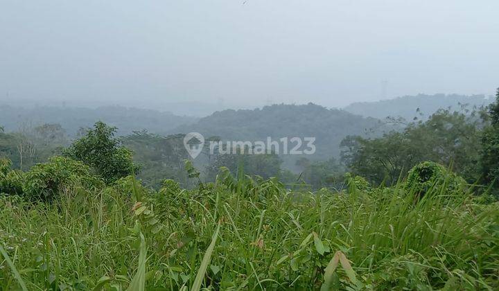 Tanah Matang Cariu Bogor Timur, Akses Mobil. Ada Sumber Mata Air 1