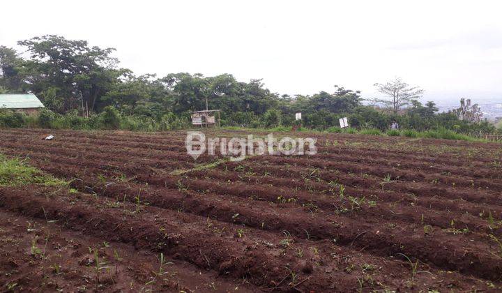 TANAH SIAP BANGUN LT. 410 M2 DI SUMBER SEKAR, DAU, MALANG 2