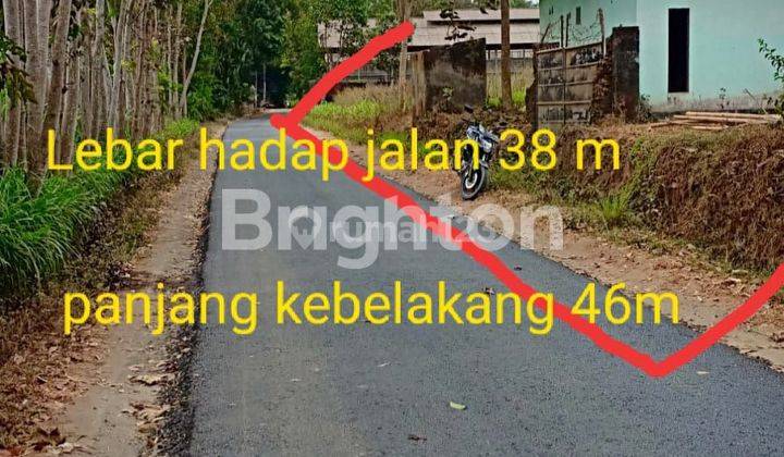 TANAH 1.755 M2 DI DS KIDANGBANG, WAJAK, KAB MALANG 1