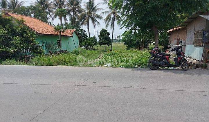 tanah kosong luas 2,1 Hektar di Pakuhaji Tangerang, Sertifikat Hak Milik 1