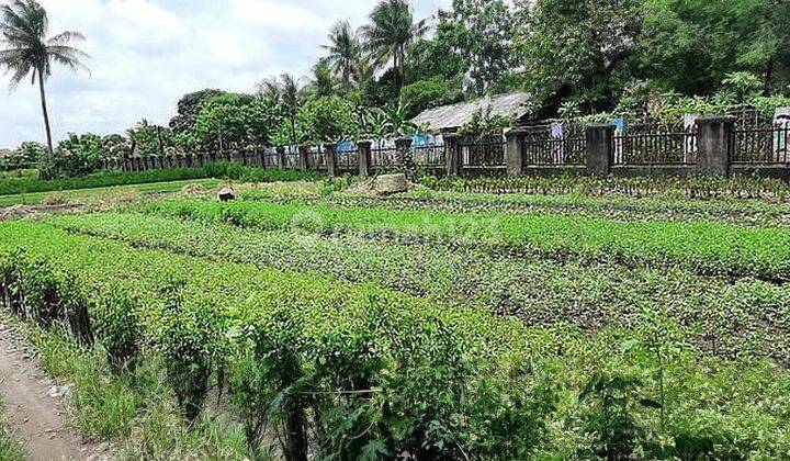 Tanah Kampung Melayu 4525 meter, Lokasi pinggir jalan raya, SHM, bisa akses container 1