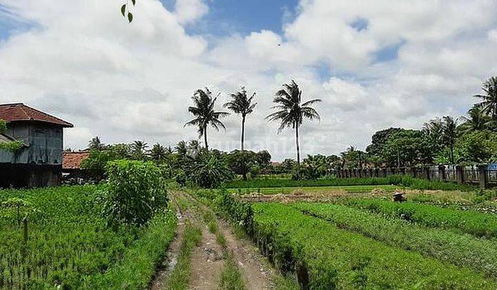 Tanah Kampung Melayu 4525 meter, Lokasi pinggir jalan raya, SHM, bisa akses container 2