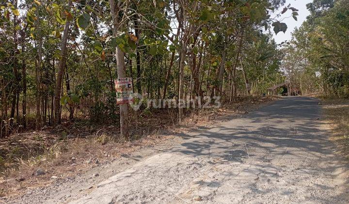 Tanah Luas 1269 Meter Persegi Lokasi Sedayu Bantul 1