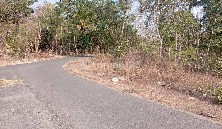 Tanah Luas 1269 Meter Persegi Lokasi Sedayu Bantul 2