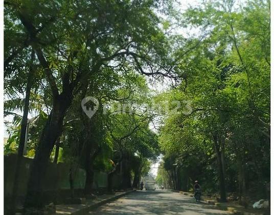 For Rent Land Minimum 500m Near Gading Serpong For Rent Land Minimum 500m Near Gading Serpong