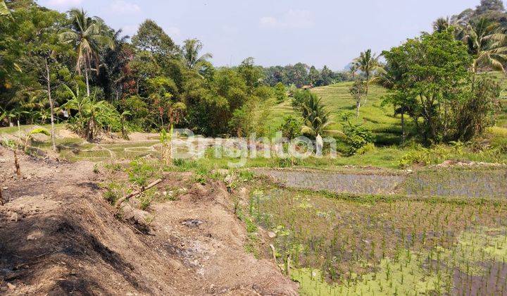 Tanah Murah di Pedesaan 2