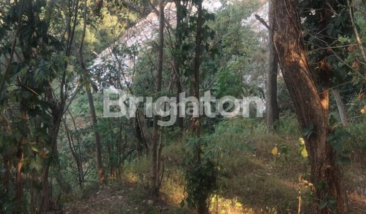 Tanah Murah Di Wisata Lembah Dieng Malang Tanah Murah Di Wisata Lembah Dieng Malang