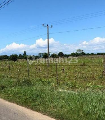 Kertajati desa kertasari blok karet tanah dijual