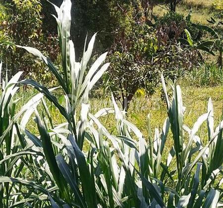 Cilengkrang kavling dijual Cilengkrang kavling dijual