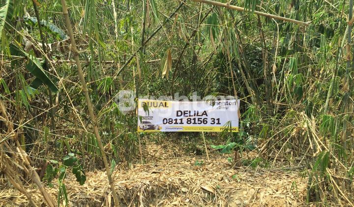 TANAH LAHAN UNDER RP.100.000/METER PERSEGI TANAH LAHAN UNDER RP.100.000/METER PERSEGI