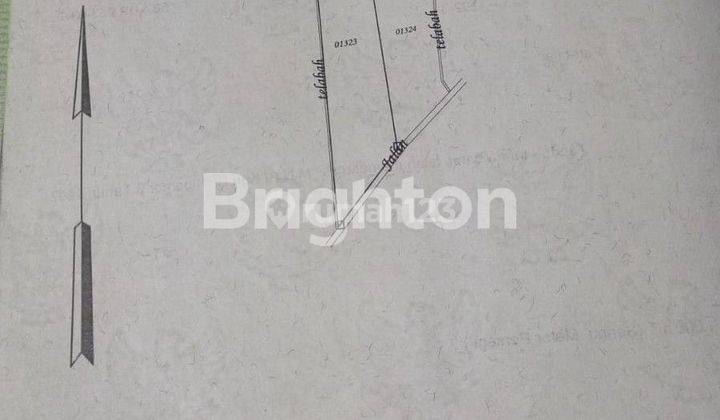 Tanah + Bangunan Di Temukus Buleleng 2