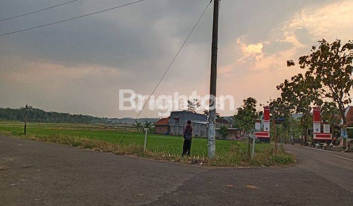 TURUN HARGALAHAN SAWAH,ZONA KUNING BAGUS UNTUK PERUMAHAN DAN TOKO/RUKO POSISI PINGGIR JALAN DESA PURWOSARI MIJEN SEMARANG 2