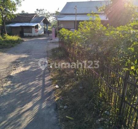 Tanah Subang Jawa Barat