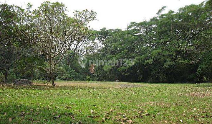 Tanah Komersil di Jalan Raya Puncak 2