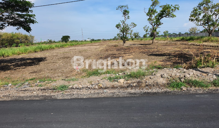 JARANG ADA !! TANAH NOL JALAN RAYA DRIYOREJO GRESIK