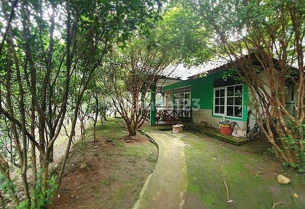 Tanah Cocok Buat Villa Di Cijeruk Dekat Duren Warso 2