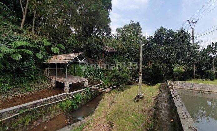 Tanah Cocok Buat Villa Di Cijeruk Dekat Duren Warso 1