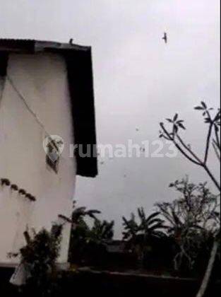 TANAH BONUS BANGUNGAN SARANG BURUNG WALET AKTIF TURUB HARGA 2