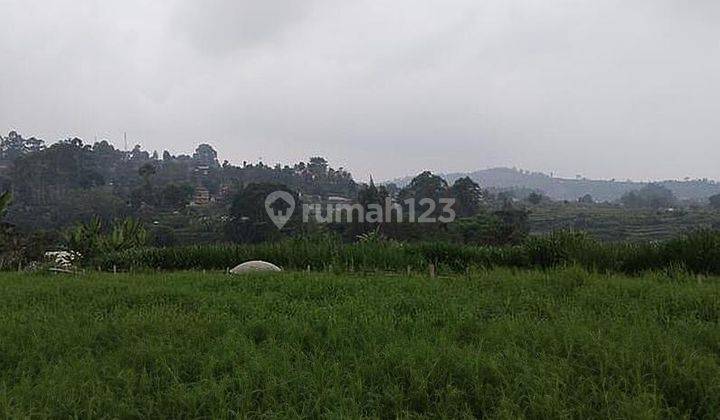 Tanah 1 Hektar Di Sersan Bajuri - Setiabudi Bandung Utara 2