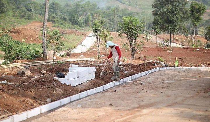 Cepat Tanah Murah Subur Gratis Pohon Durian 2