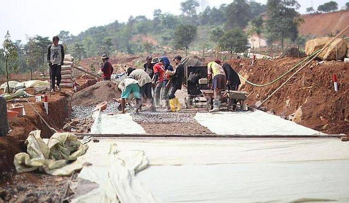 Cepat Tanah Murah Subur Gratis Pohon Durian 1