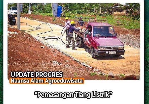 Cepat Tanah Murah Siap Bangun Jalan Cor Masuk Listrik Gratis Pohon Durian 2