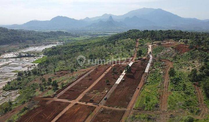 Tanah murah Di Cepat Gratis Pohon Durian 2