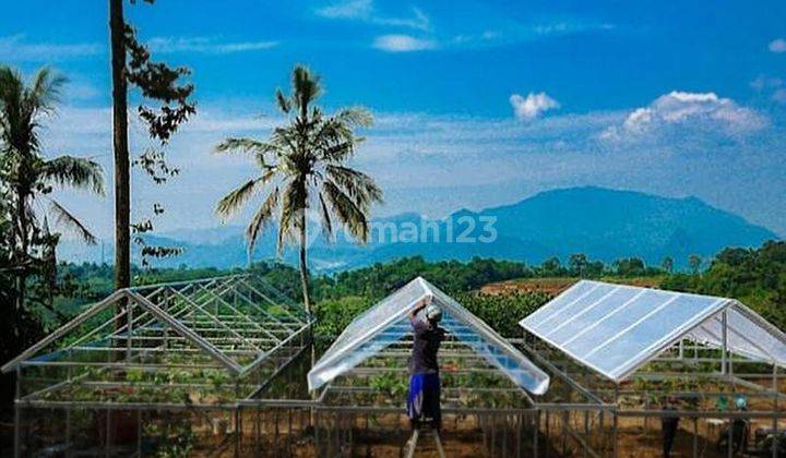 Tanah Murah Kavling Harmoni Farm House Kavling Wisata kebun anggur Produktif 1