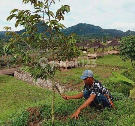 Tanah Di Harga Terjangkau Siap Di Bangun Jalan Sudah Cor &amp; Masuk Listrik 2