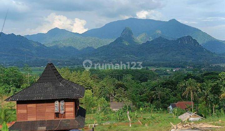 Cepat Tanah Kavling Subur Siap Bangun Jalan Sudah Di Cor Dan Masuk Listrik 2