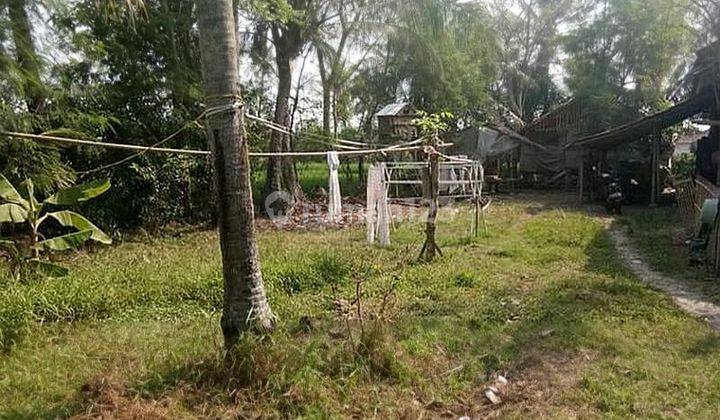 Dijual Tanah Padat Di Balaraja Tangerang 1