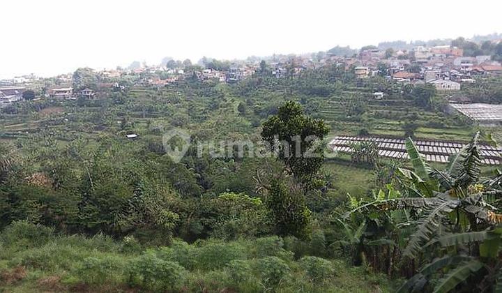 Tanah 13 hektar di Jl. Setiabudi Bandung cocok untuk tempat wisata Tanah 13 hektar di Jl. Setiabudi Bandung cocok untuk tempat wisata