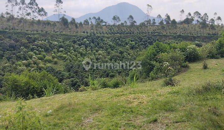 Tanah 3 hektar di pangalengan pemandangan situ/danau cileunca 2