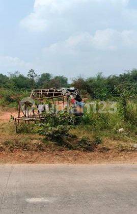 Tanah di Parung Panjang Bogor Akses Bisa Container 1