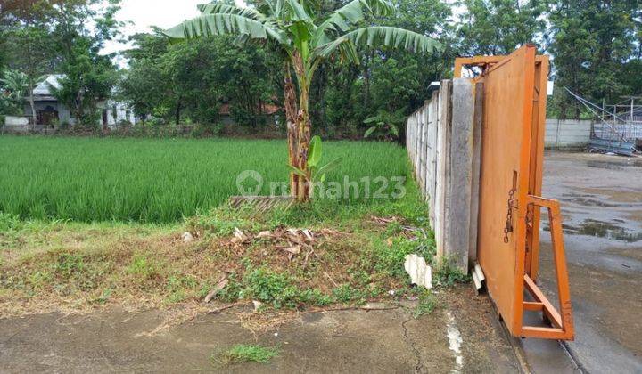 Tanah Sawah Bangunan  Siap Di Kelola Di Desa Karang Cikarang 1